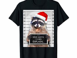 Dear Santa I Can Explain Lustiges Weihnachten Waschbaer T Shirt 0